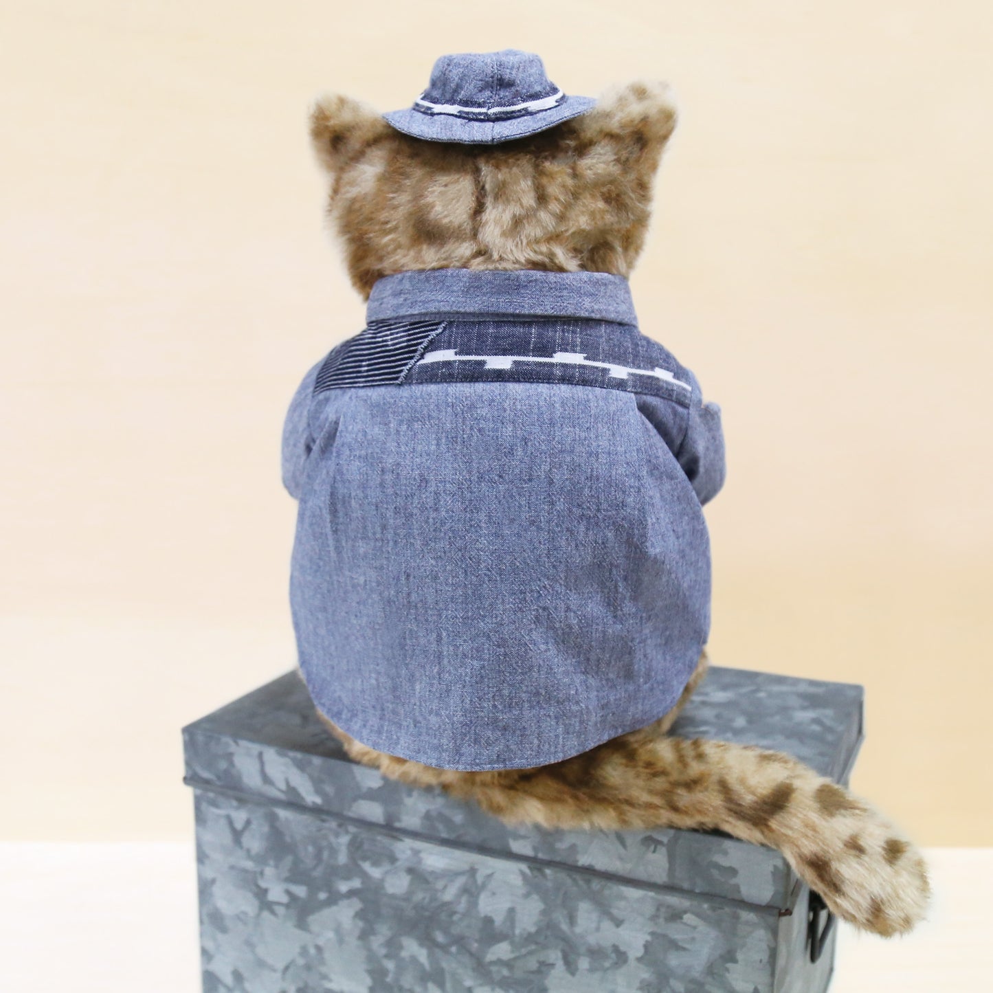 TSUNAGUシャツ【009】(洋服と帽子のセット)うしろ