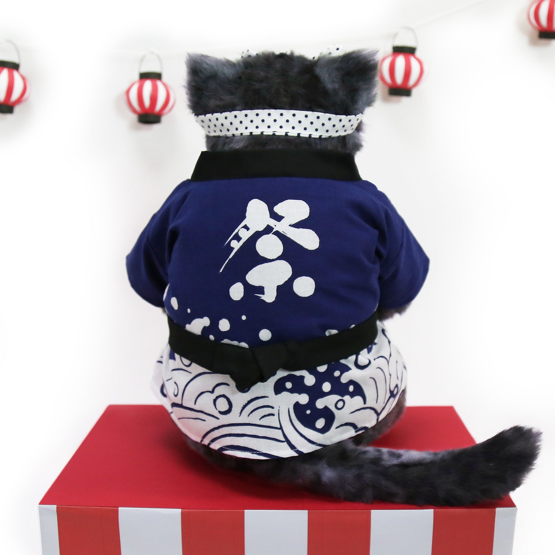 ソメゴロー 祭はっぴ着用後ろ姿