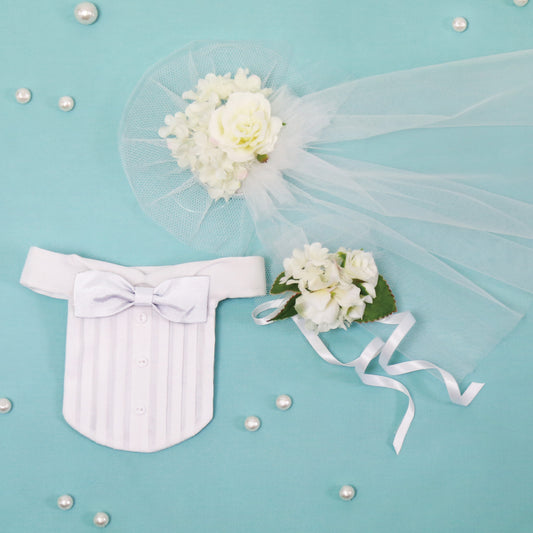Wedding veil, bouquet, and wing collar set with (white) bow tie