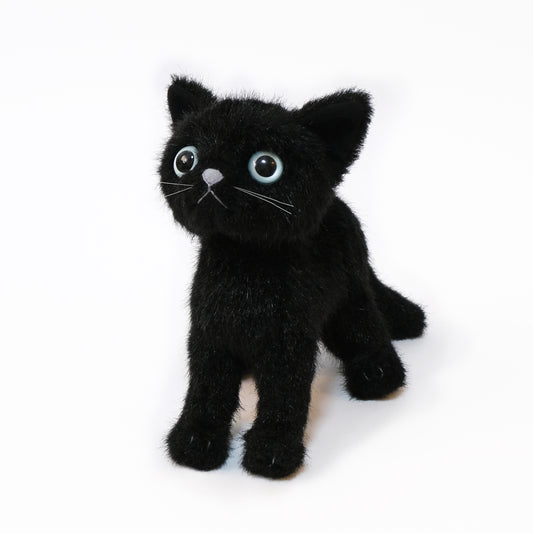 ドロップス クロ Drops Kuro ブルーアイ