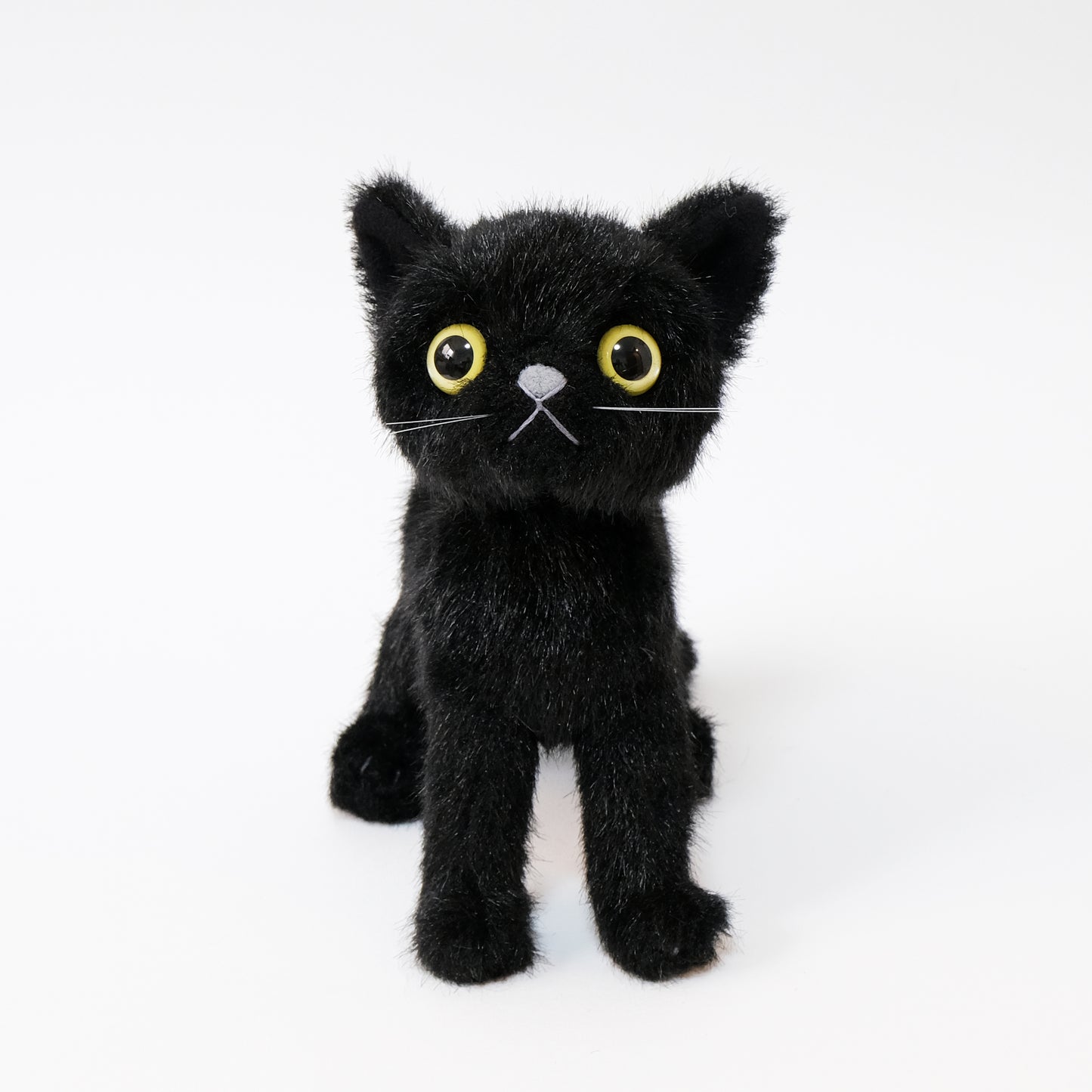 ドロップス クロ Drops Kuro イエローアイ 正面