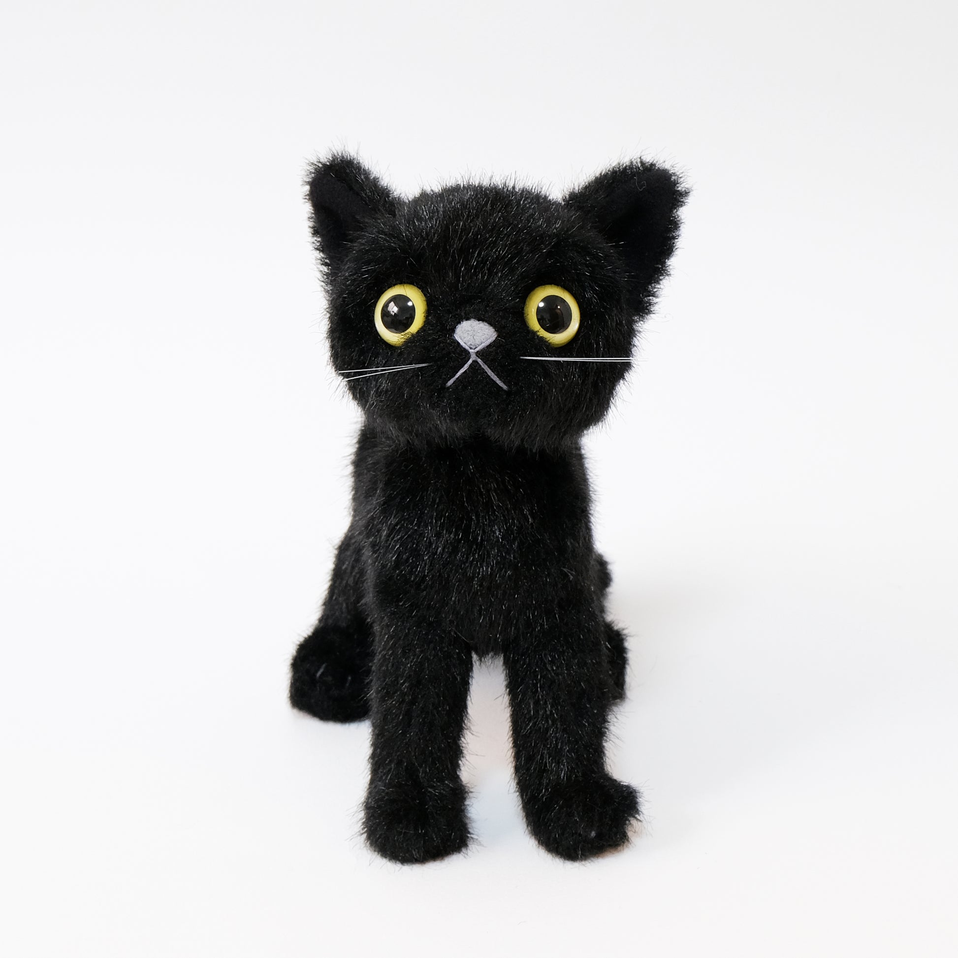 ドロップス クロ Drops Kuro イエローアイ 正面