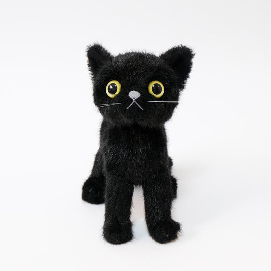 ドロップス クロ Drops Kuro イエローアイ 正面