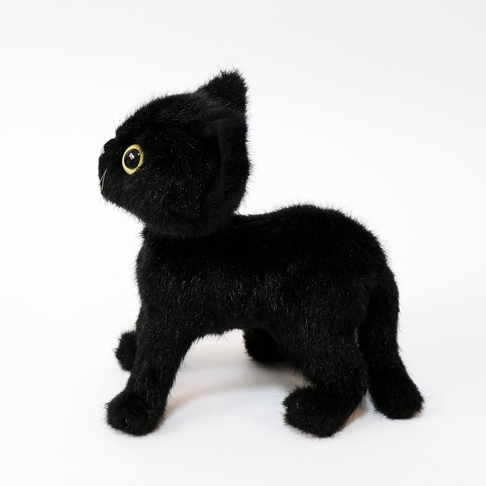 ドロップス クロ Drops Kuro イエローアイ 側面