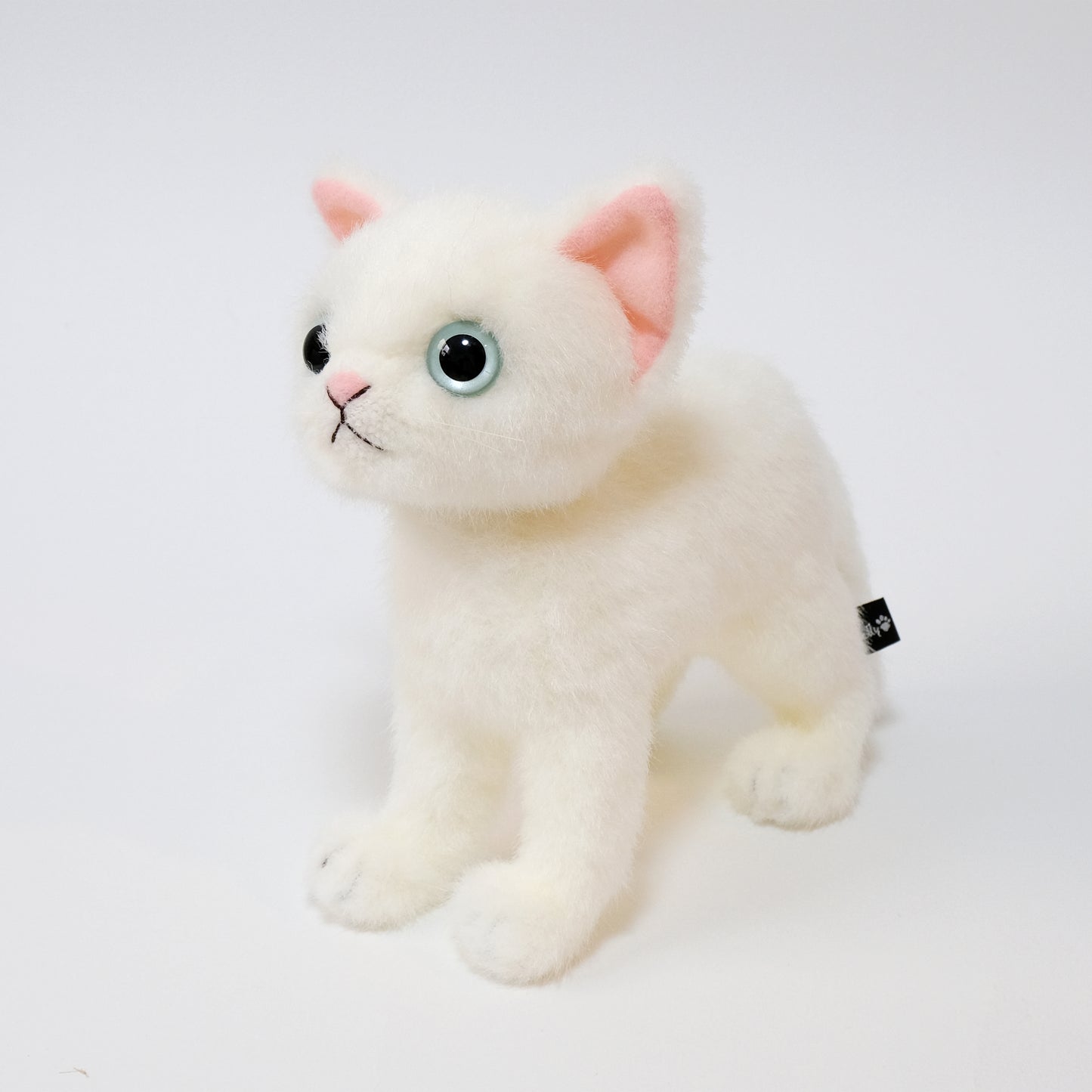 ドロップス シロ Drops Shiro ブルーアイ