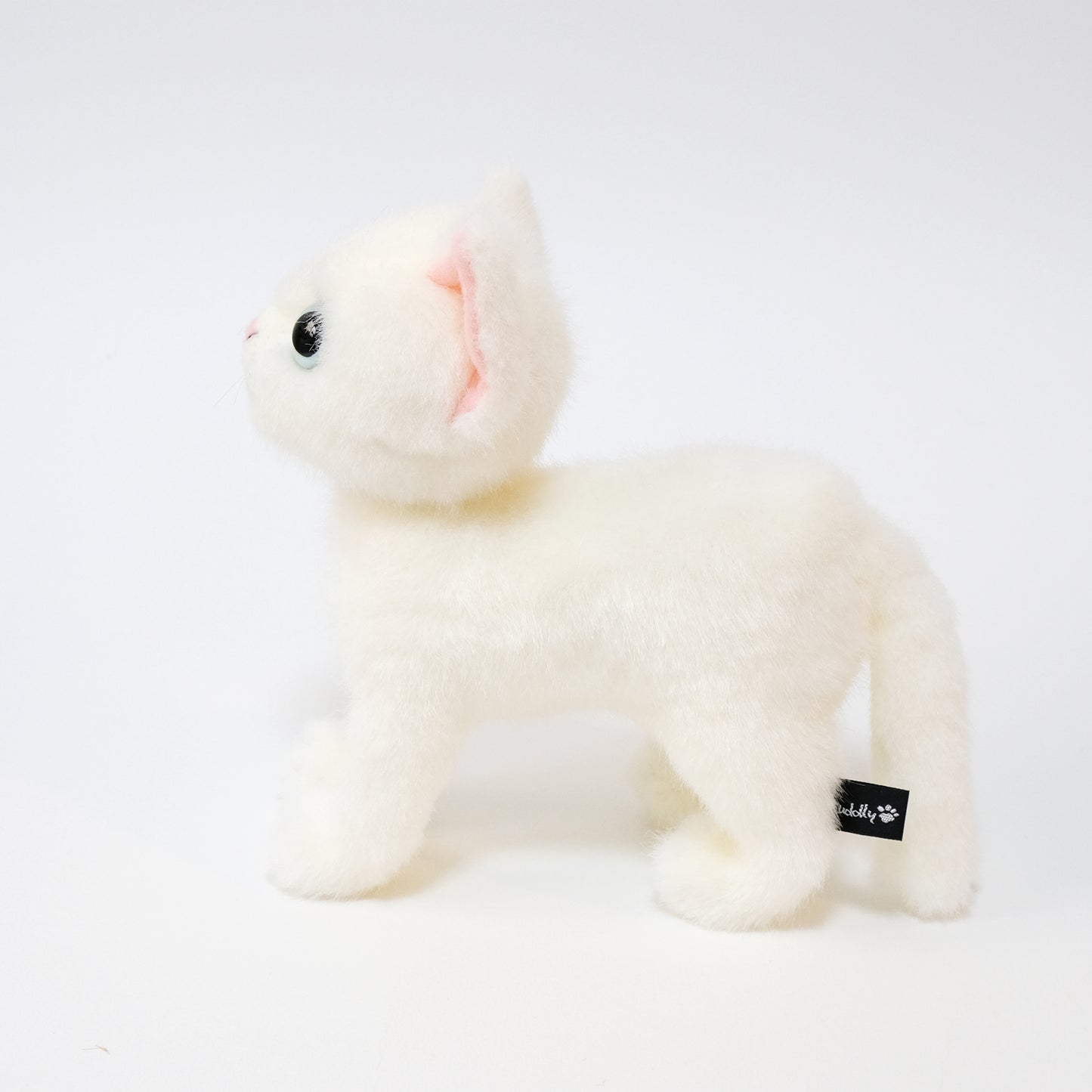 ドロップス シロ Drops Shiro ブルーアイ 側面