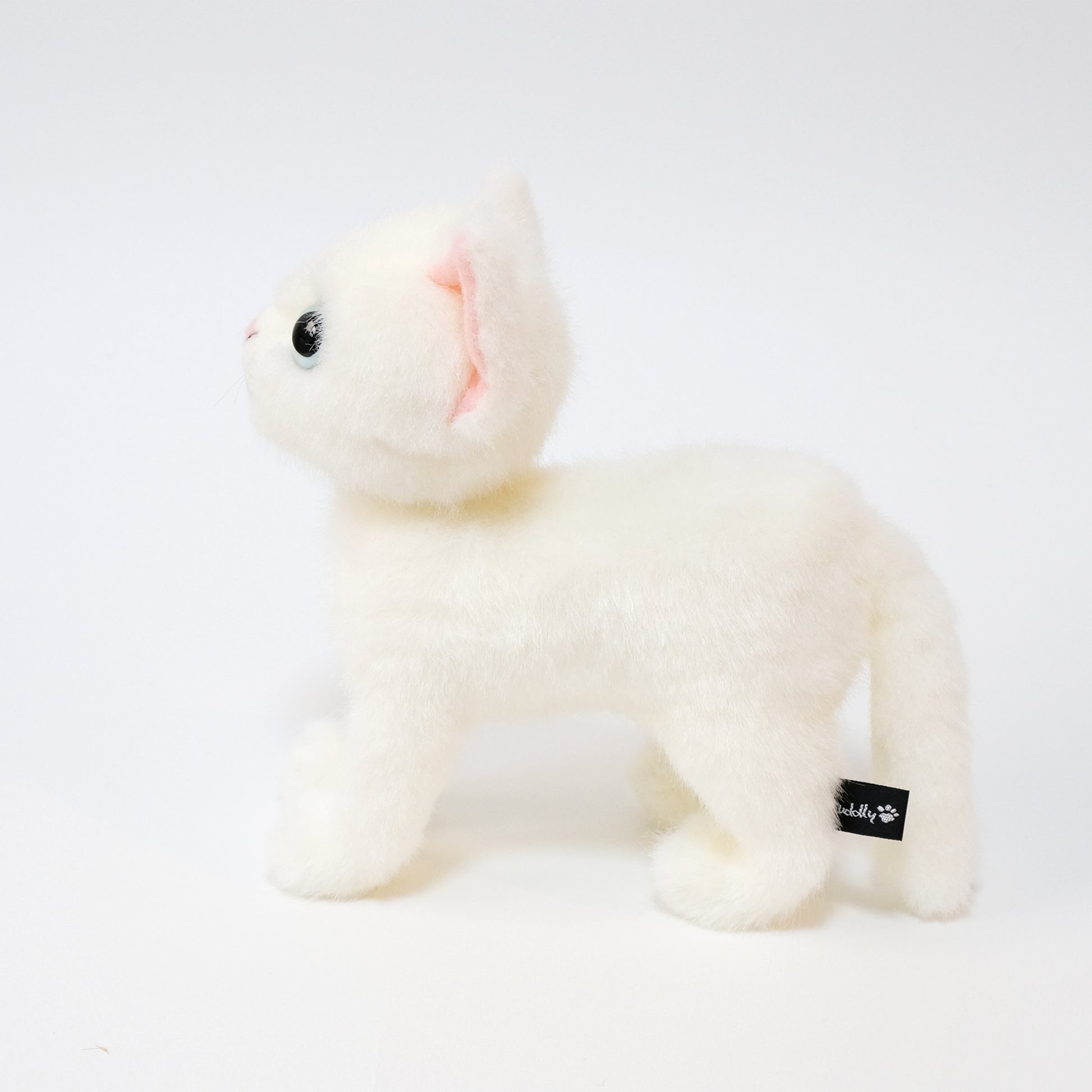 ドロップス シロ Drops Shiro ブルーアイ 側面