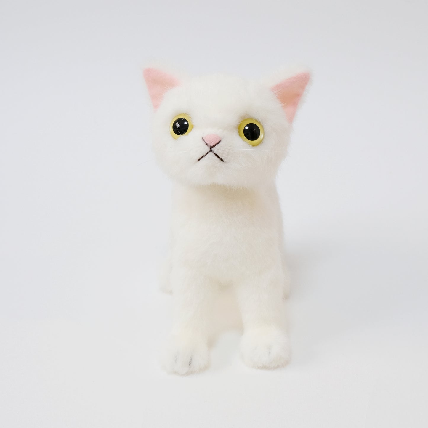 ドロップス シロ Drops Shiro イエローアイ 正面