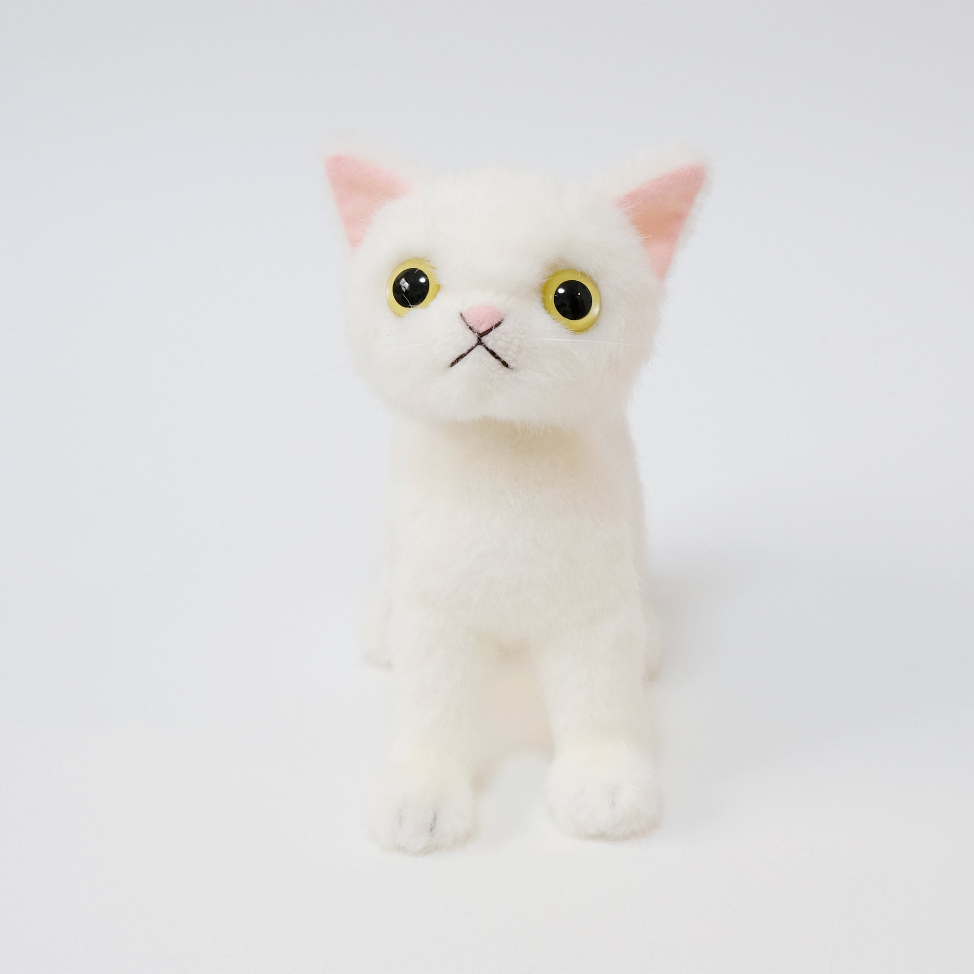 ドロップス シロ Drops Shiro イエローアイ 正面