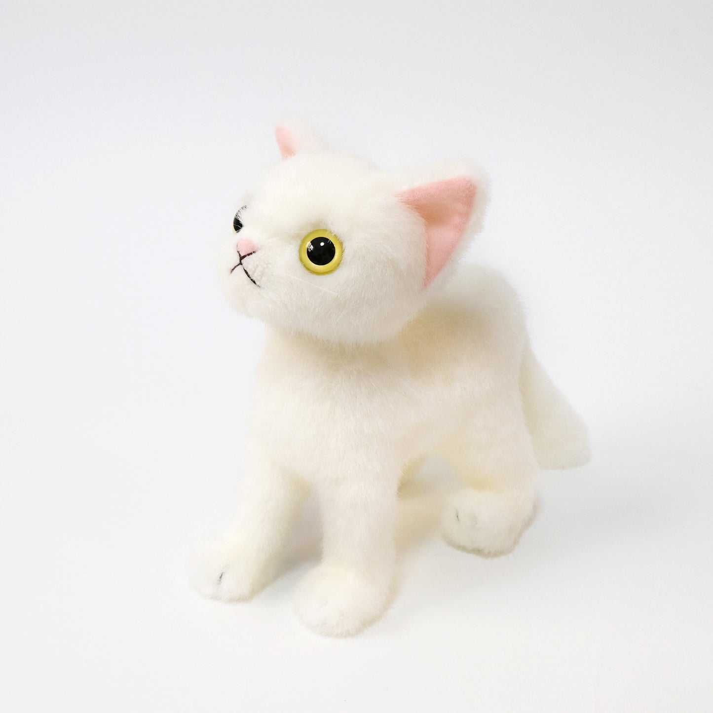 ドロップス シロ Drops Shiro イエローアイ
