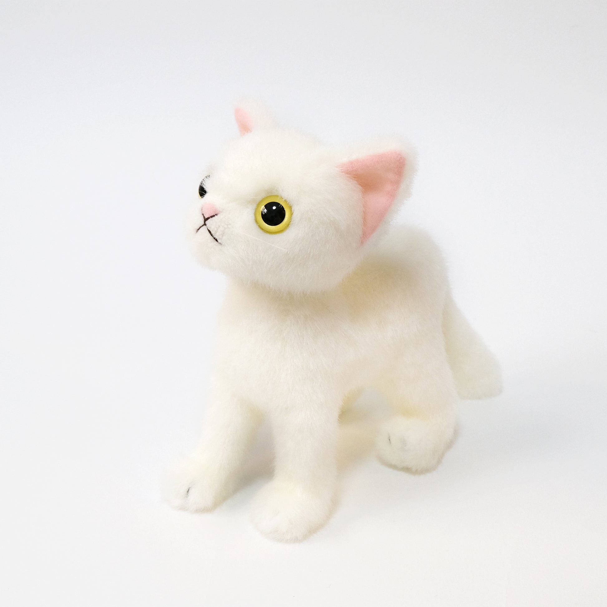 ドロップス シロ Drops Shiro イエローアイ