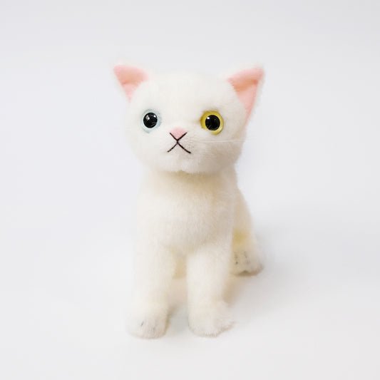 ドロップス シロ Drops Shiro オッドアイ