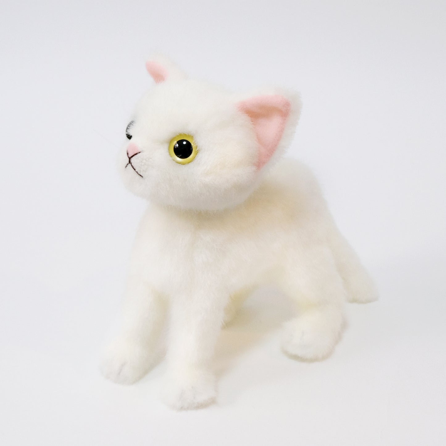 Drops Shiro Odd Eye