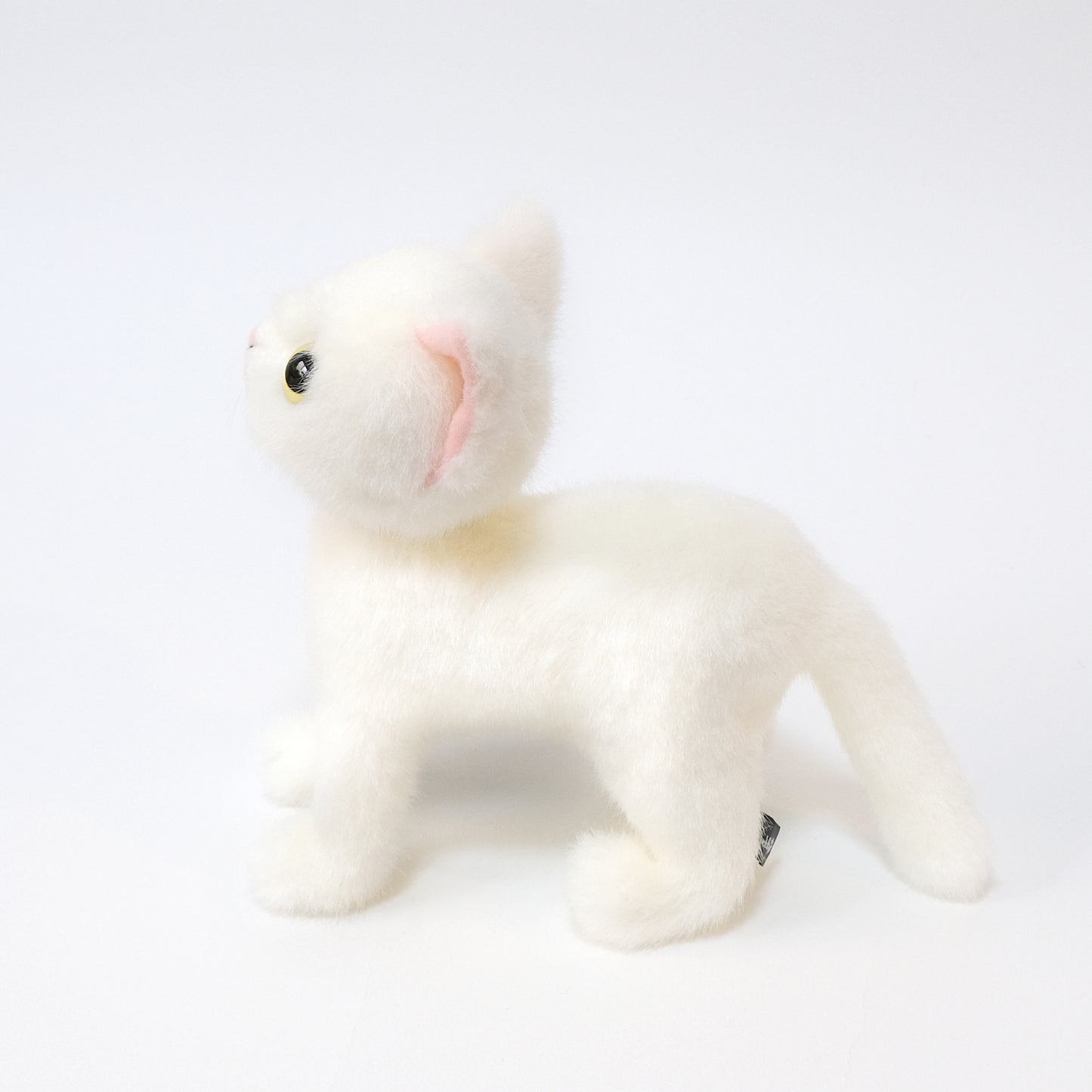 ドロップス シロ Drops Shiro イエローアイ 側面