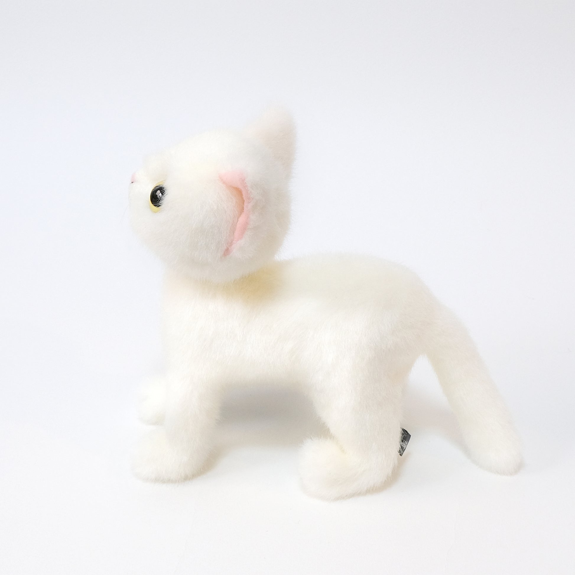 ドロップス シロ Drops Shiro イエローアイ 側面