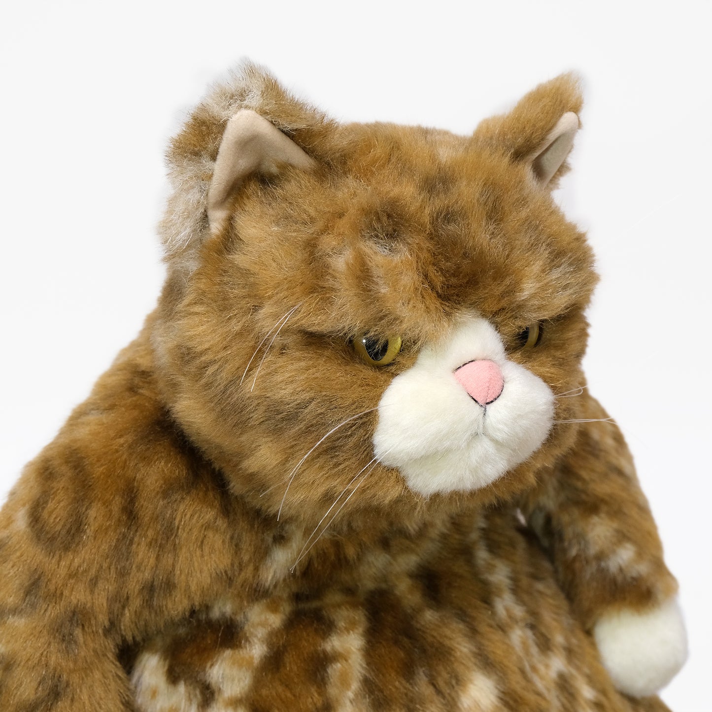 ムッシュ Muche 顔 眼光