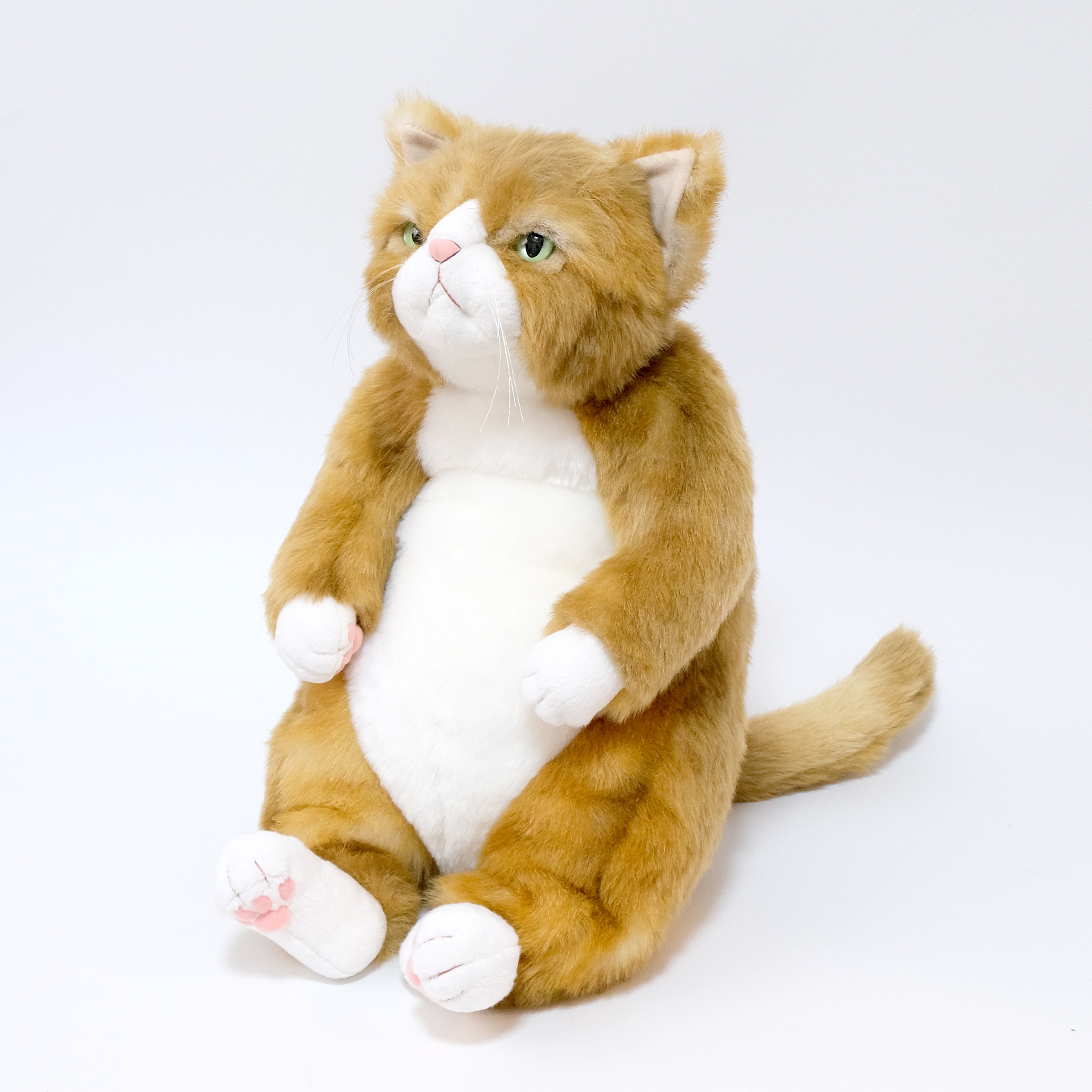 わさ美 Wasabi 猫のぬいぐるみ – Cuddly公式オンラインショップ