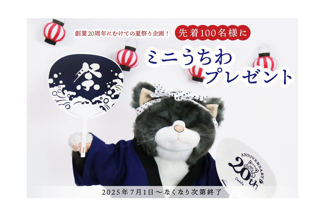 先着100名様にミニうちわプレゼント