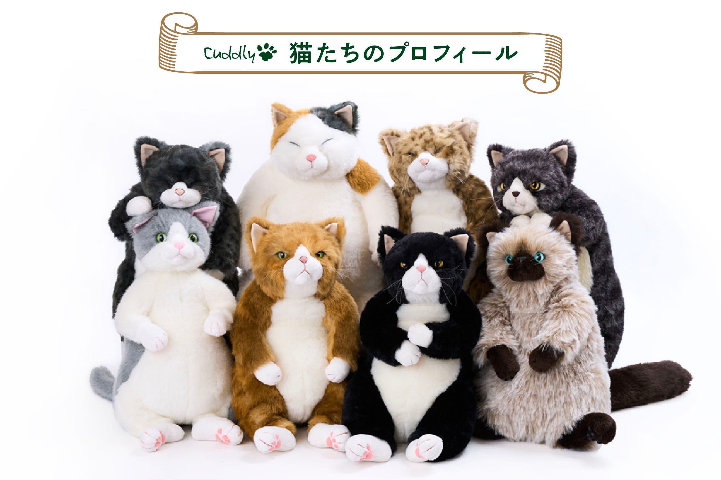 Cuddly (カドリー) 公式オンラインショップ 猫のぬいぐるみ – Cuddly公式オンラインショップ