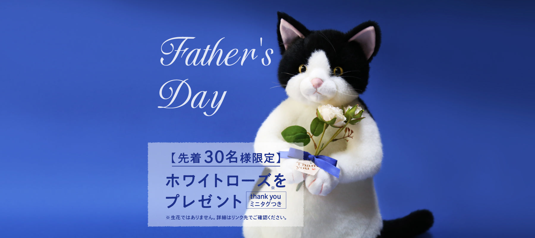 Cuddly (カドリー) 公式オンラインショップ 猫のぬいぐるみ