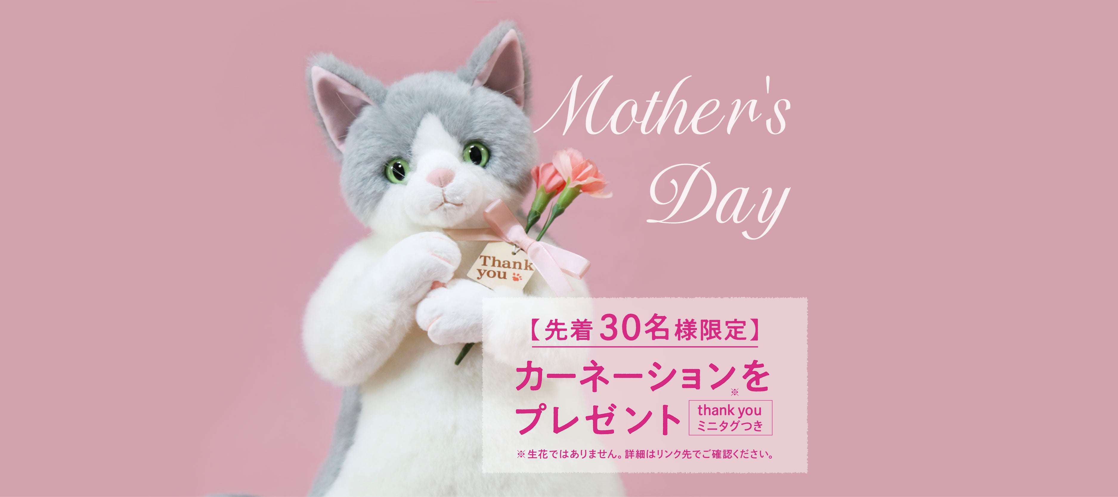 Cuddly (カドリー) 公式オンラインショップ 猫のぬいぐるみ