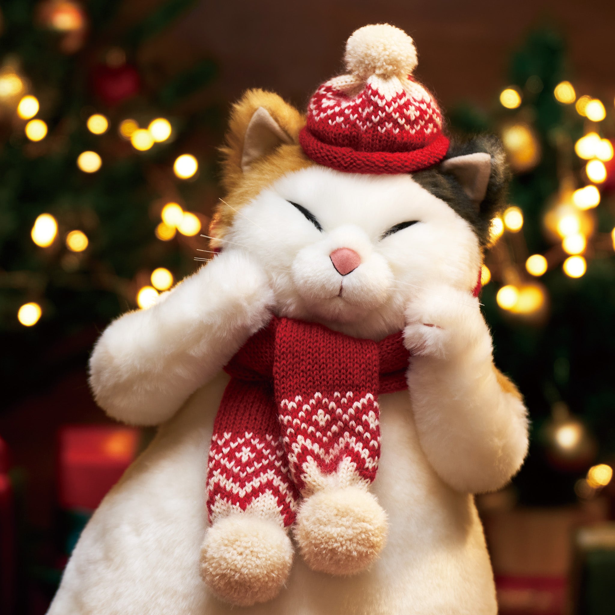 マリアふわふわモヘアのマフラー&帽子着用タイプ – Cuddly公式