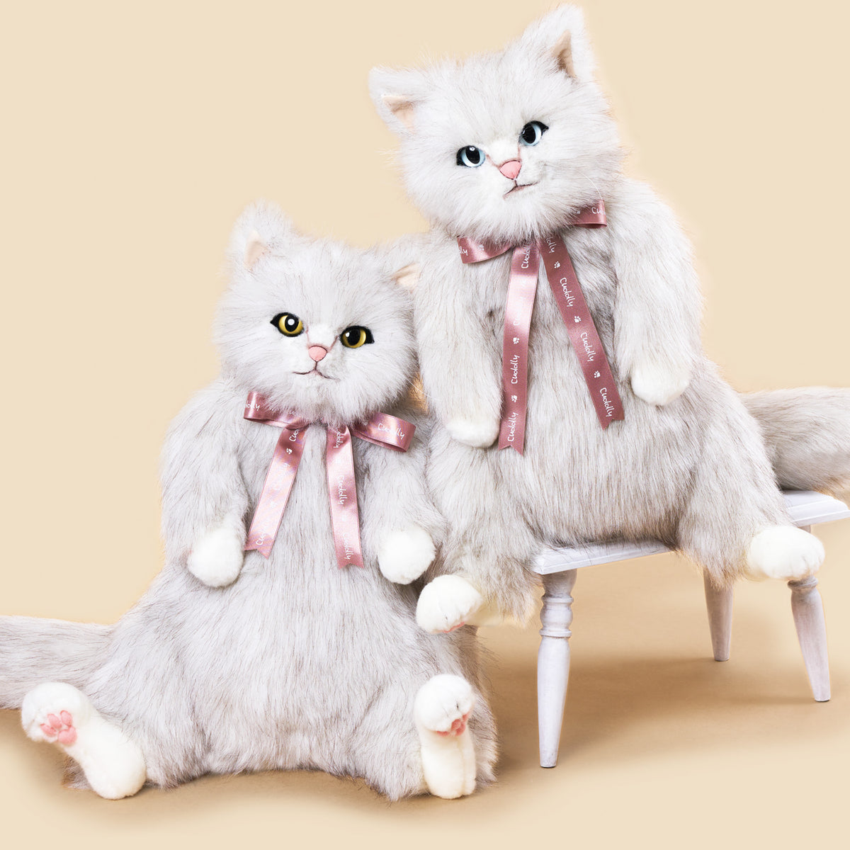左　CoCo（イエローアイ）　右　BeBe（ブルーアイ）