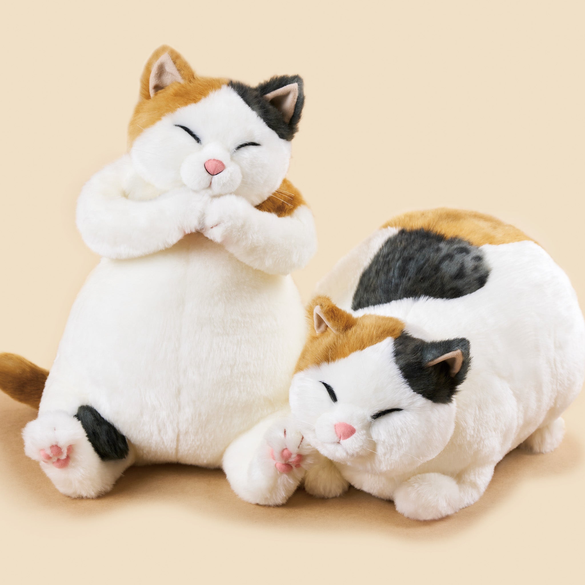 マリア Maria 猫のぬいぐるみ 三毛猫 – Cuddly公式オンラインショップ