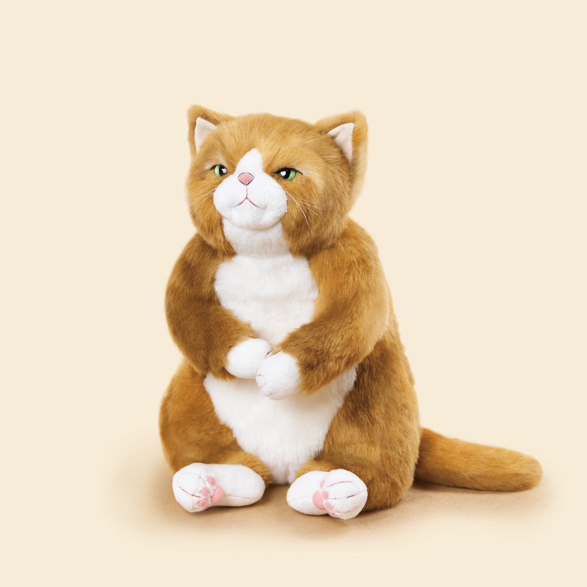 わさ美　ポーズ