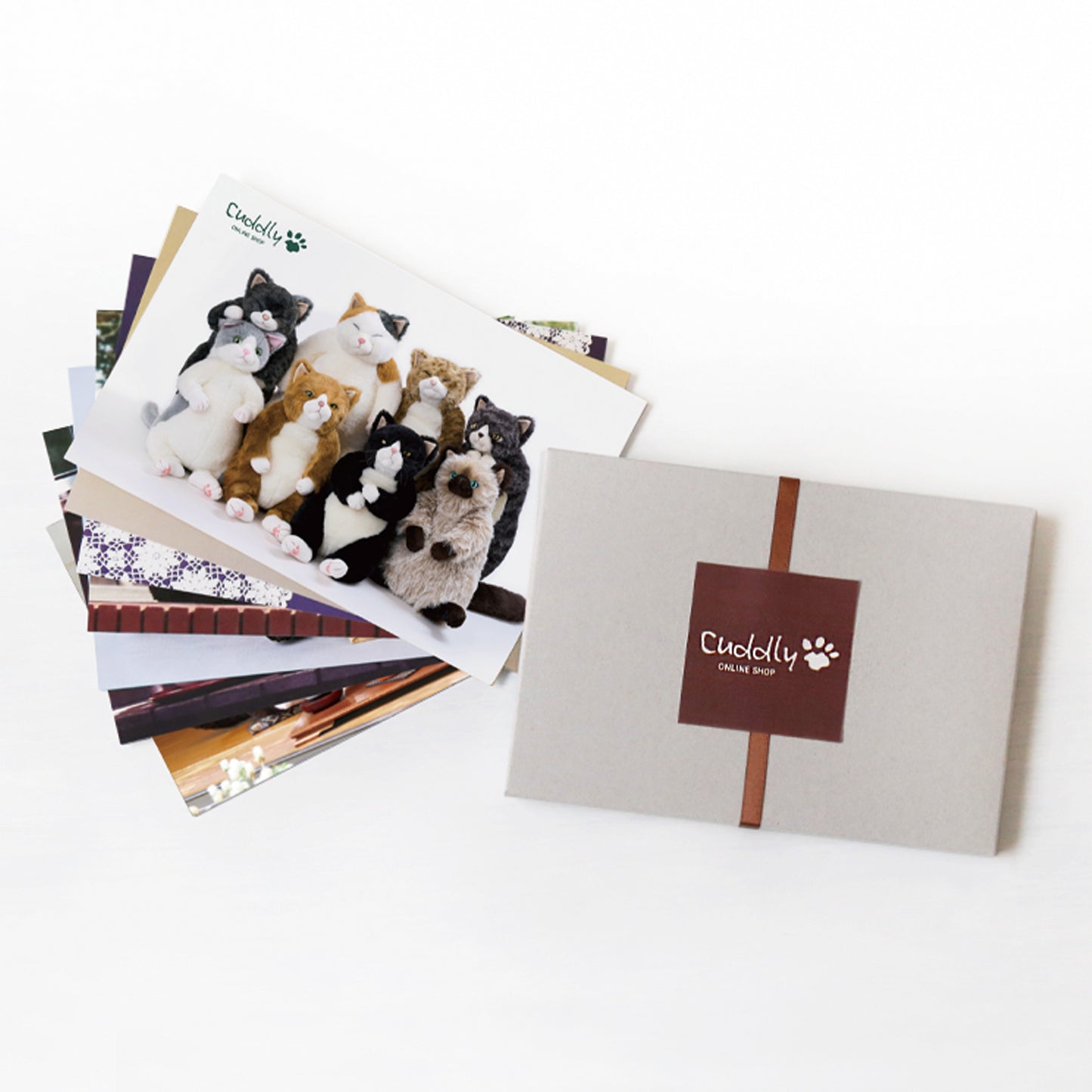 2026年ポストカードプレゼント