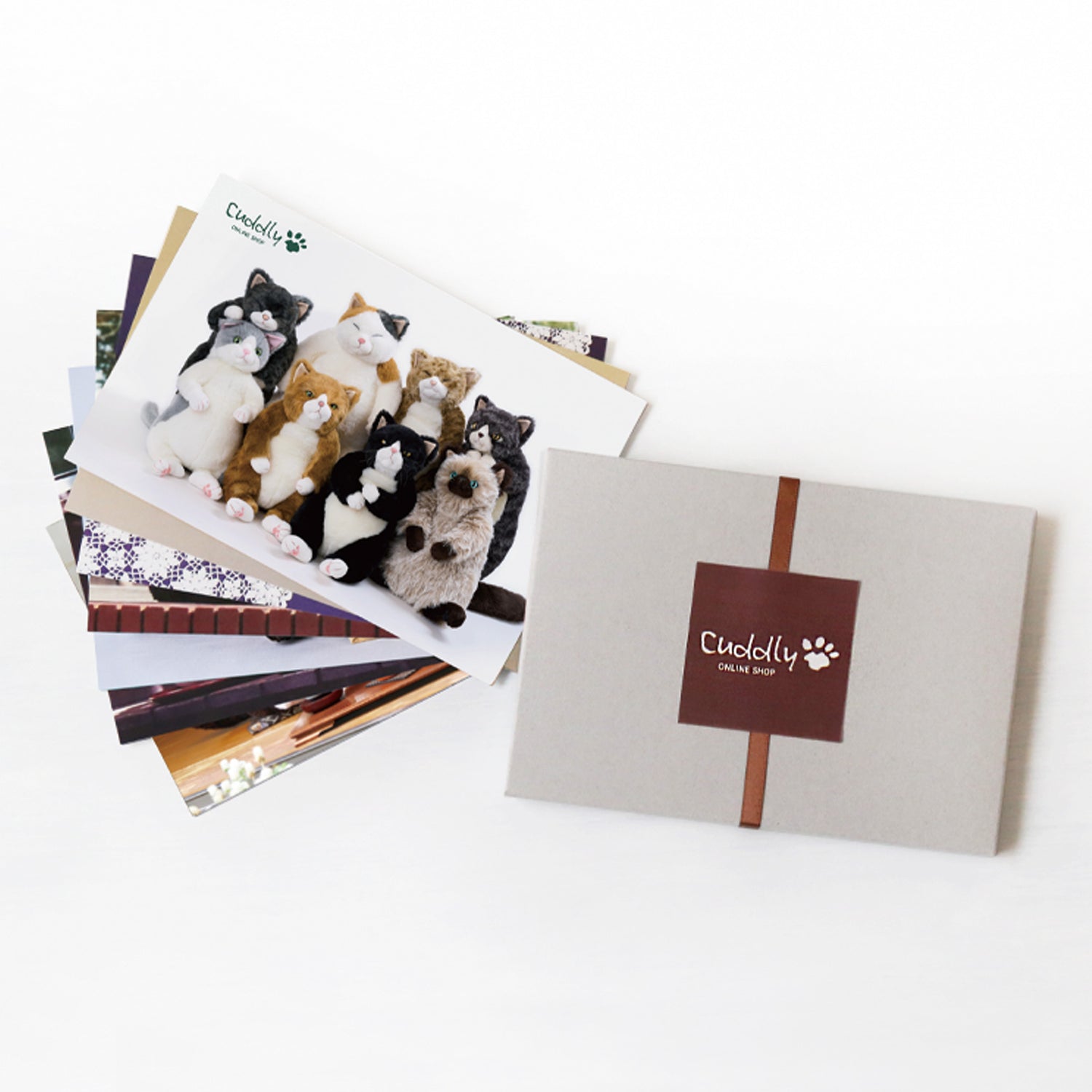 2026年ポストカードプレゼント