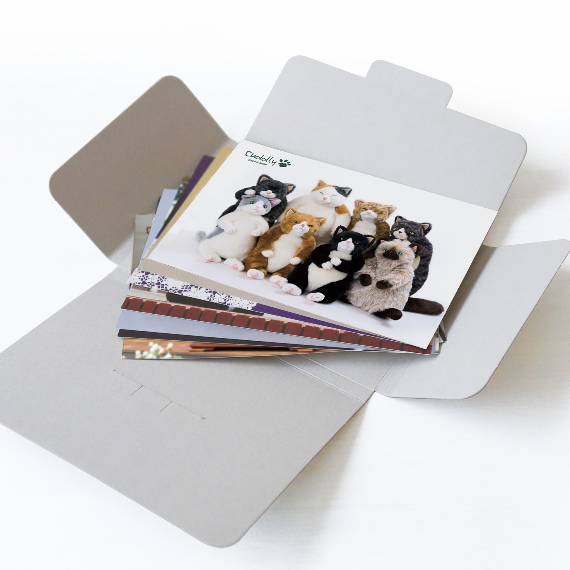 2026ポストカードプレゼンント　中身