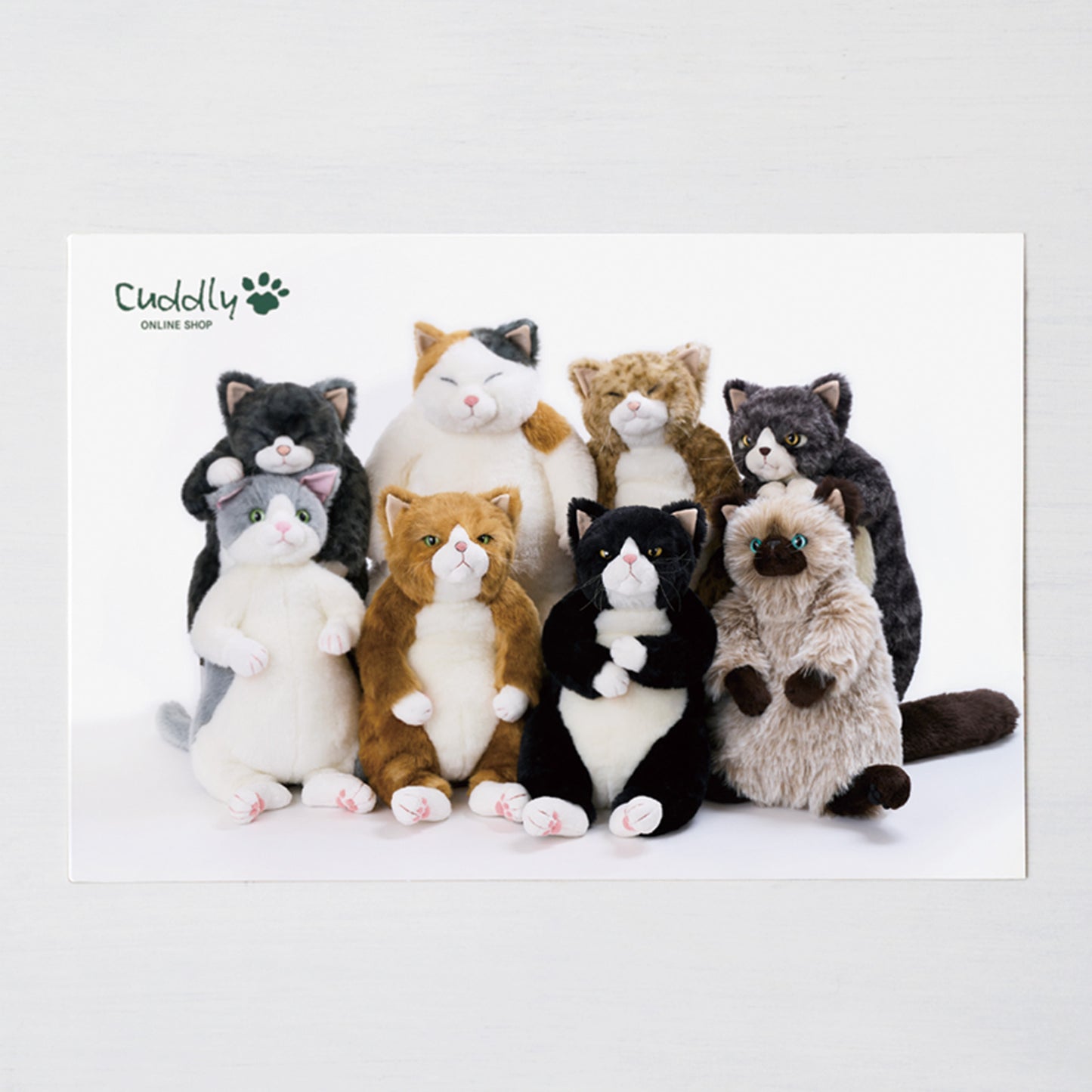 8匹集合　ポストカード