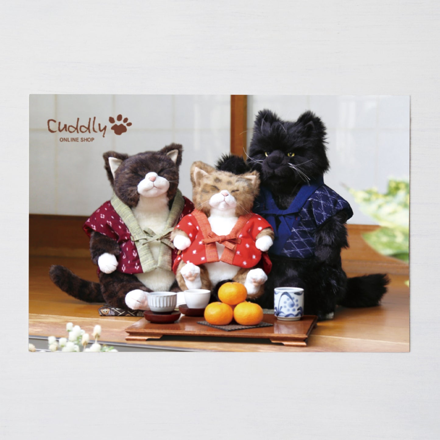 20th Anniversary Gift [Set of 7 postcards]