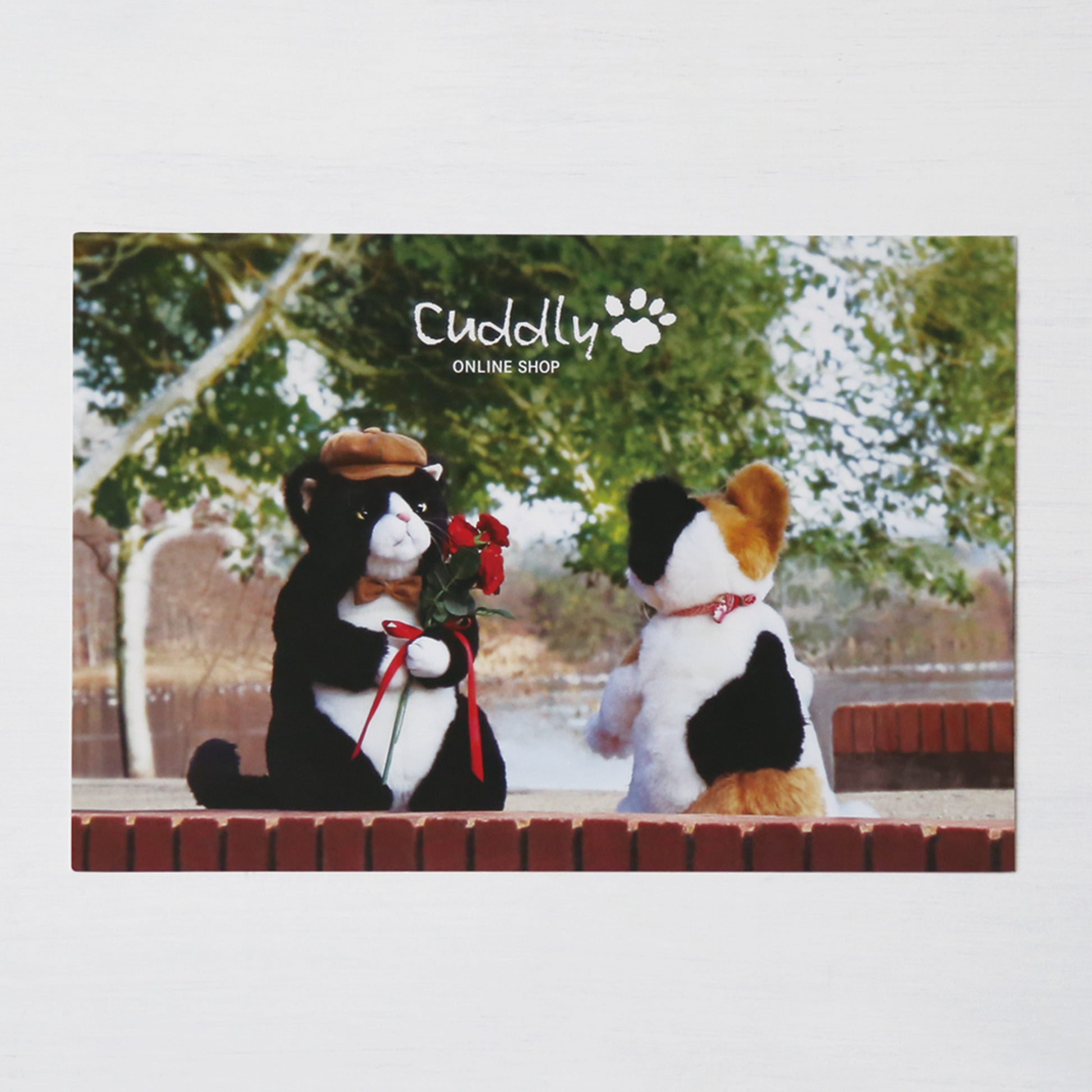 ２０２６甚五郎の告白ポストカード