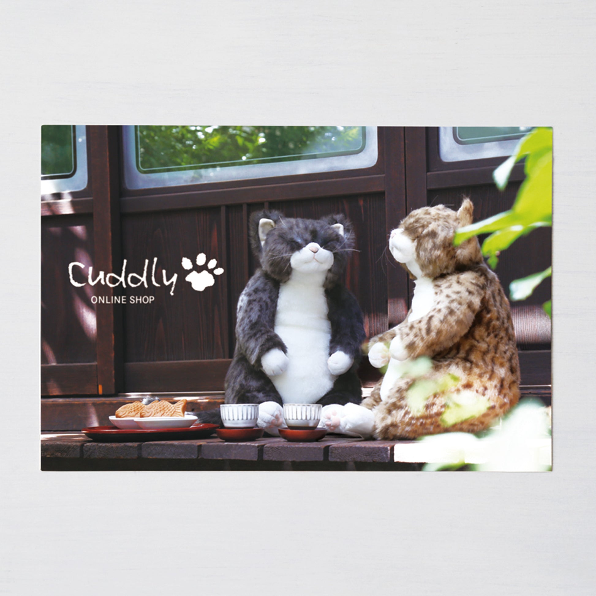 縁側でまどろむソメピンポストカード