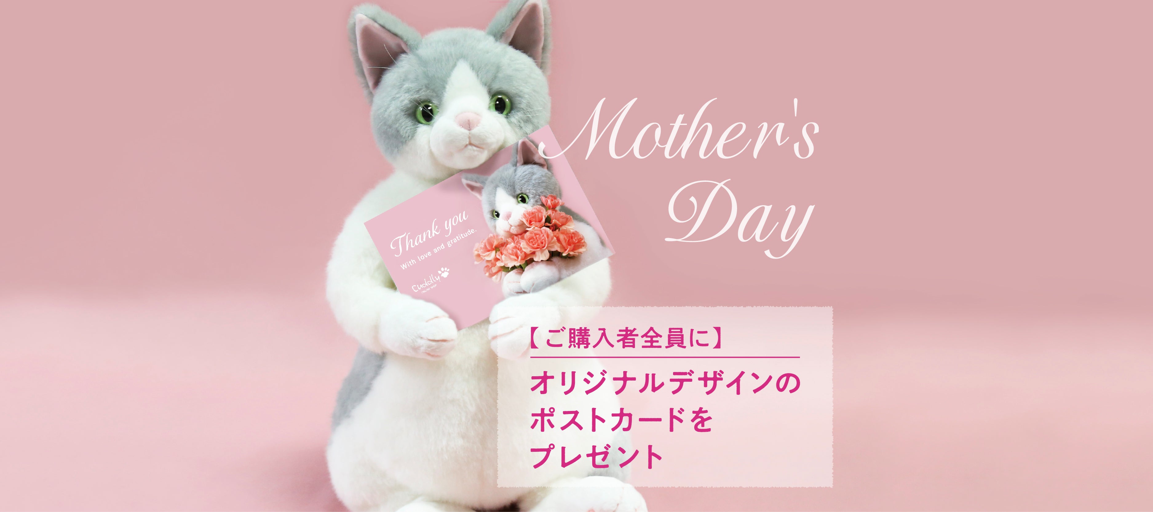 Cuddly (カドリー) 公式オンラインショップ 猫のぬいぐるみ – Cuddly