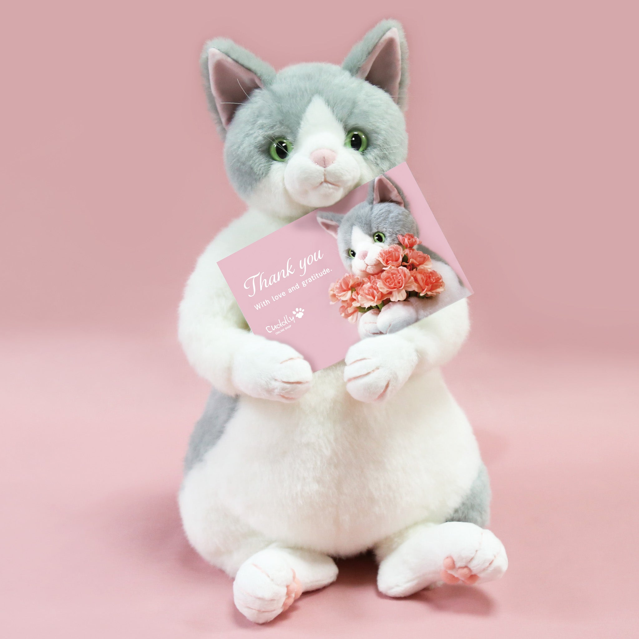 Cuddly (カドリー) 公式オンラインショップ 猫のぬいぐるみ – Cuddly