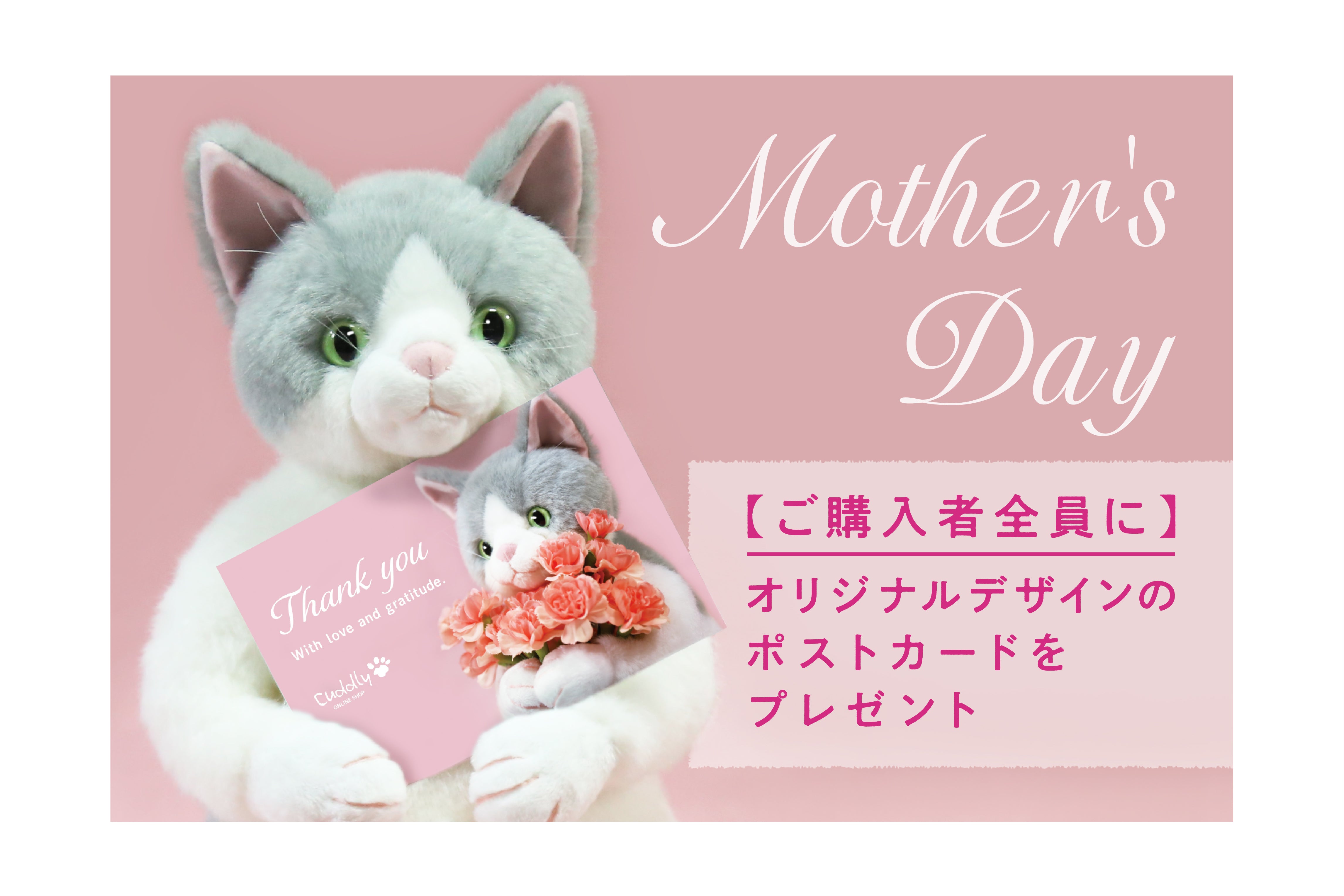 Cuddly (カドリー) 公式オンラインショップ 猫のぬいぐるみ – Cuddly