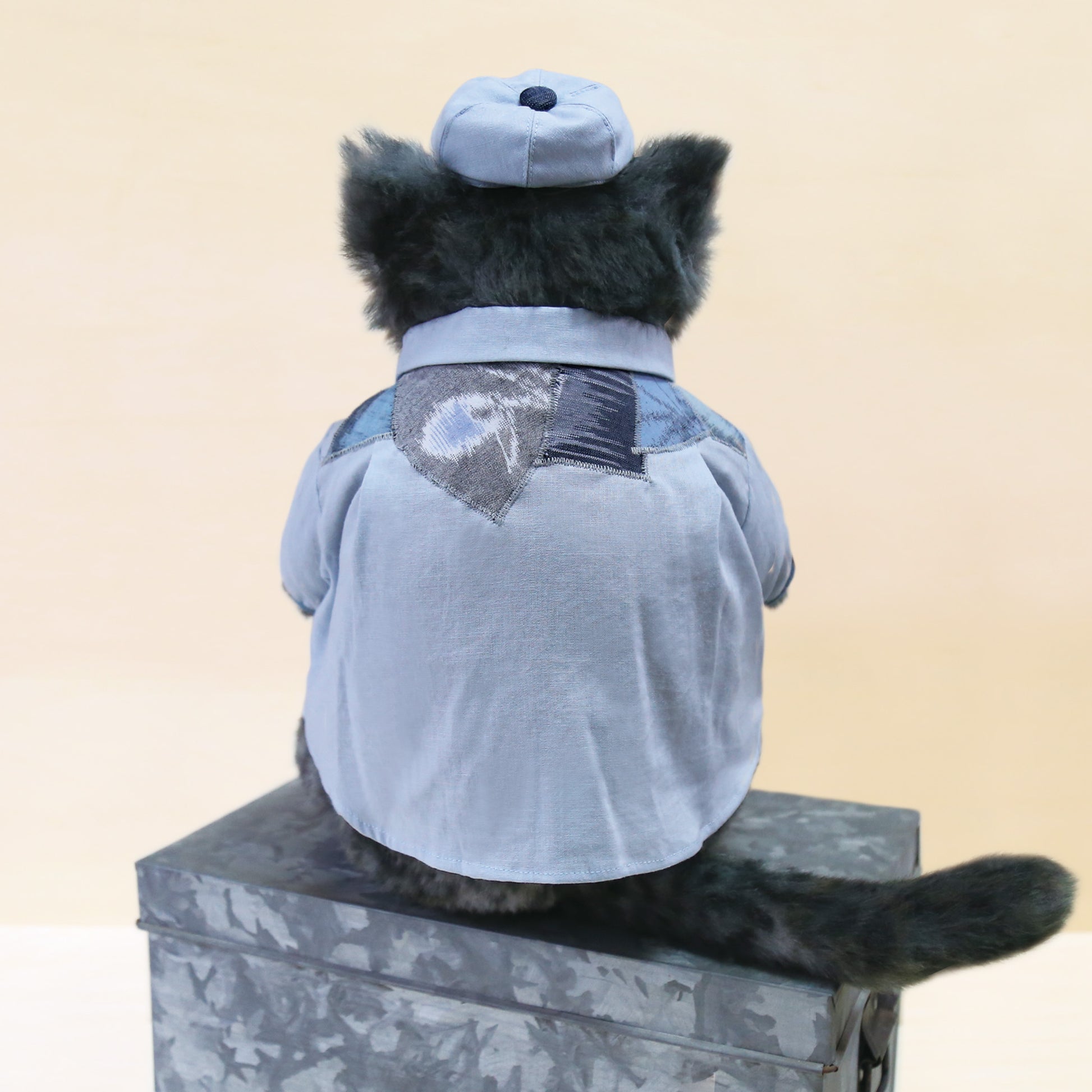 TSUNAGUシャツ【００６ 】（洋服と帽子のセット）後ろ