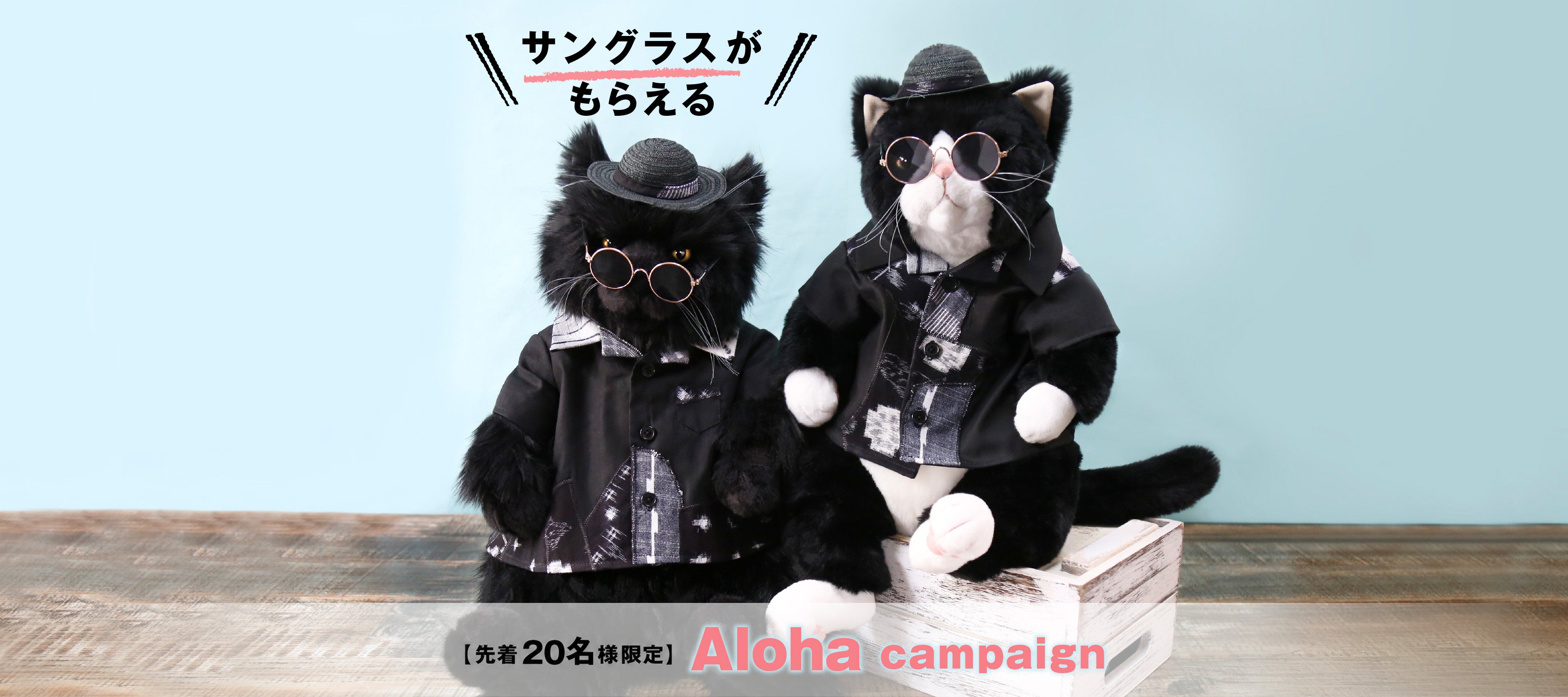 Cuddly (カドリー) 公式オンラインショップ 猫のぬいぐるみ – Cuddly