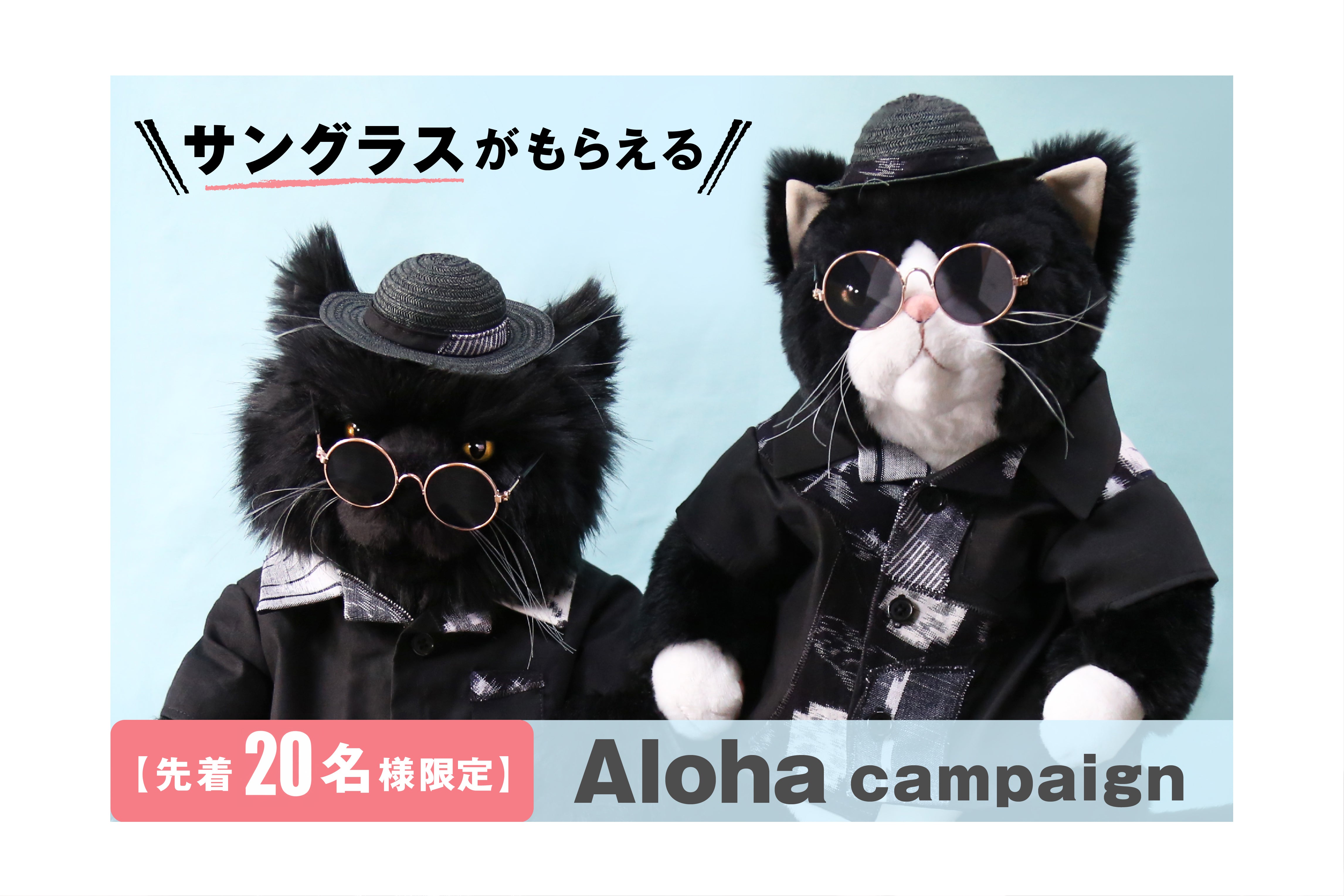Cuddly (カドリー) 公式オンラインショップ 猫のぬいぐるみ – Cuddly