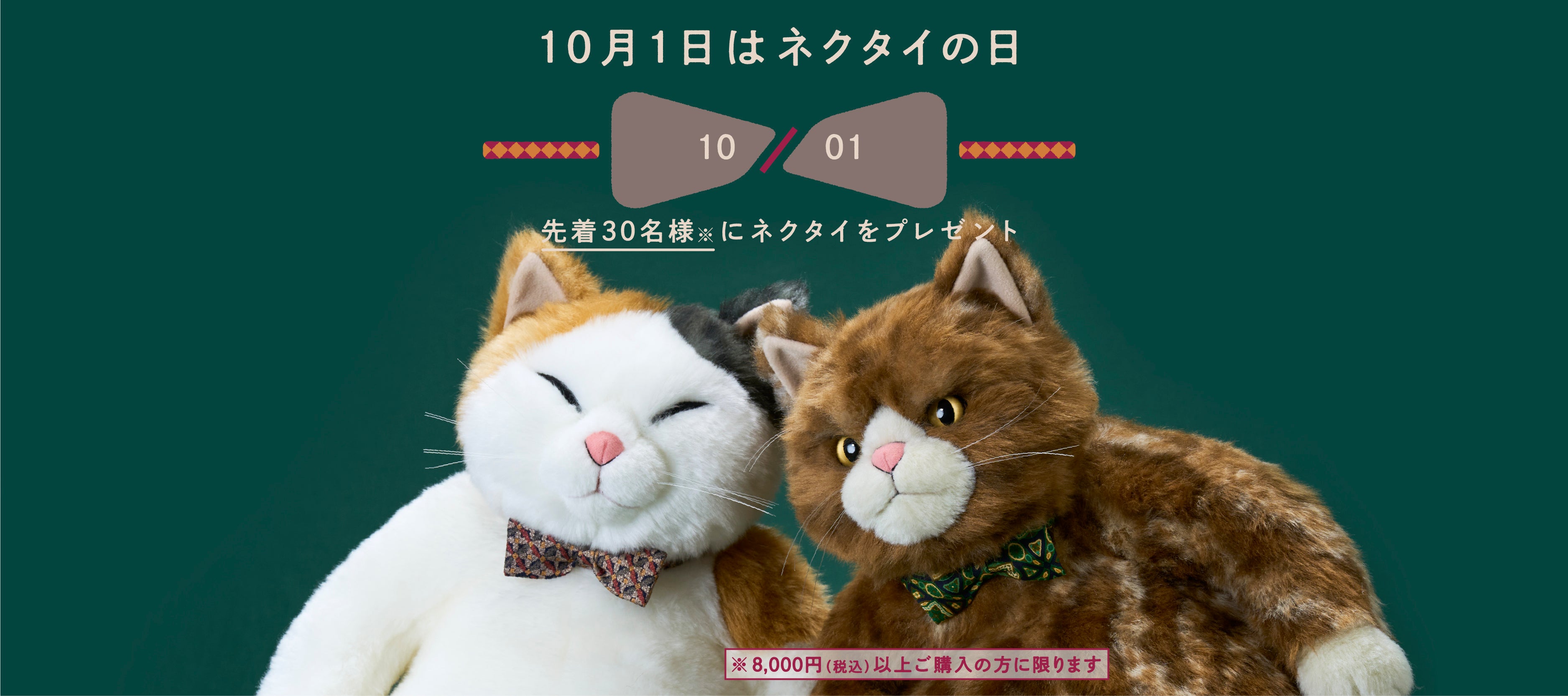Cuddly (カドリー) 公式オンラインショップ 猫のぬいぐるみ – Cuddly