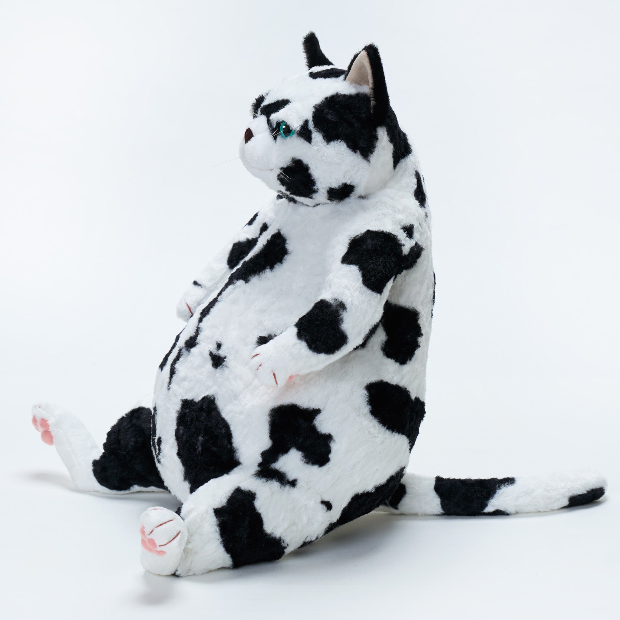 Cuddly (カドリー) 公式オンラインショップ 猫のぬいぐるみ – Cuddly