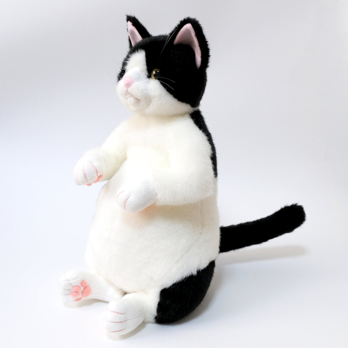 タマ子　横
