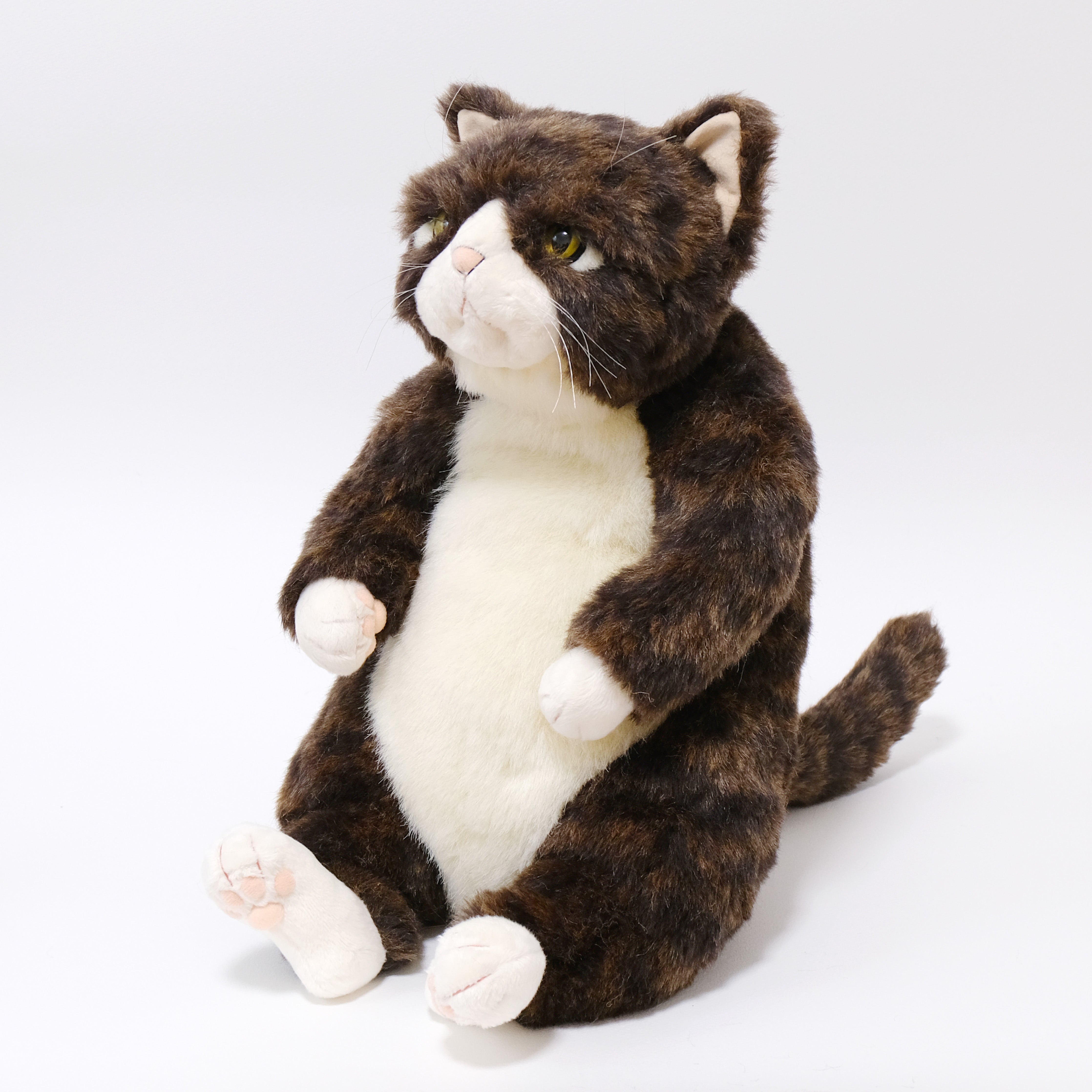 金之助 Kinnosuke 猫のぬいぐるみ – Cuddly公式オンラインショップ