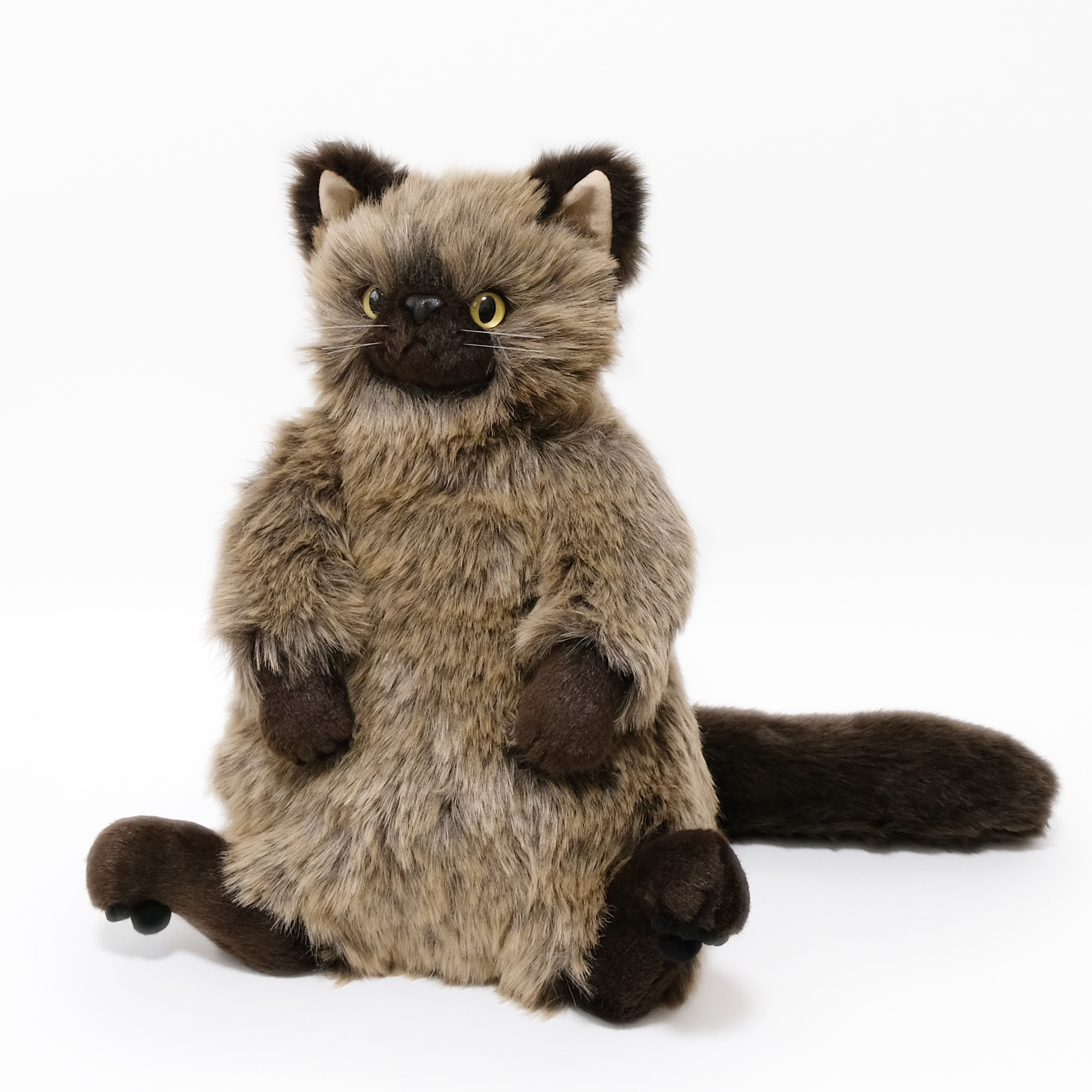 パスカル Pascal 猫のぬいぐるみ – Cuddly公式オンラインショップ