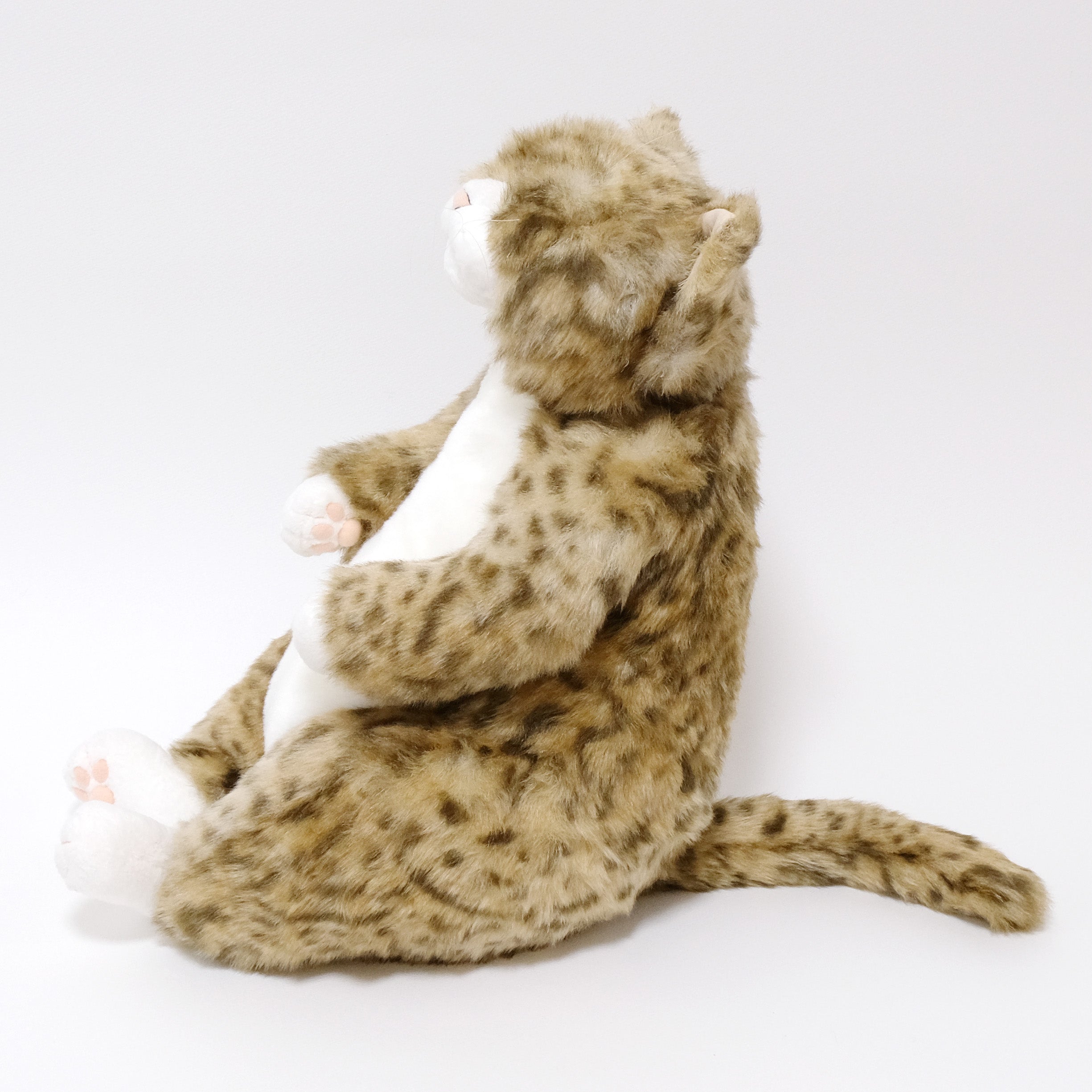 ピンカートン Pinkerton 猫のぬいぐるみ – Cuddly公式オンラインショップ